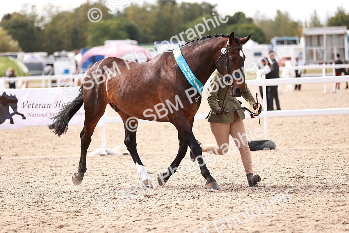 SBM_13380 - class 406 - IH Hunter