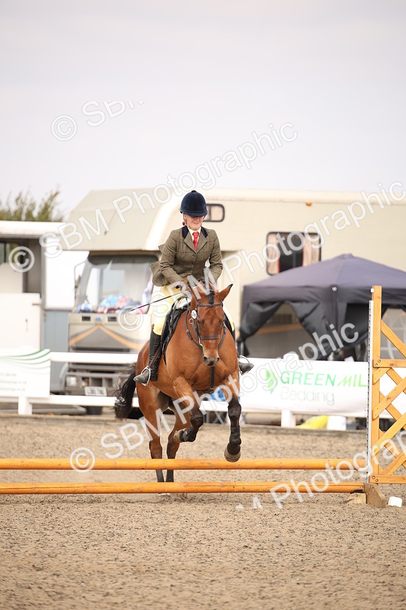 SBM_12904 - Class 406a - Working Veteran 50cm (15-19)