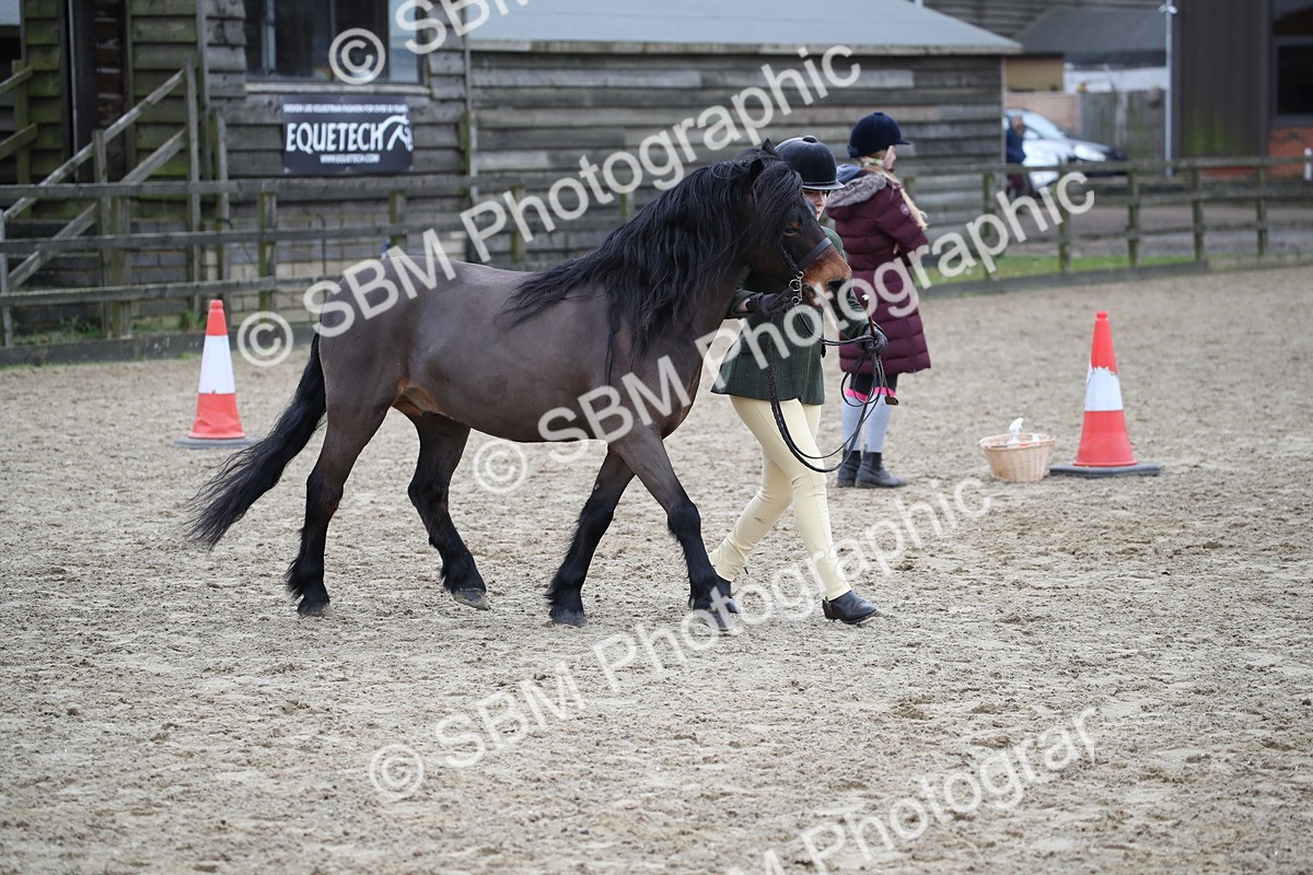 SBM_006418 - Class 10-13 - RIHS Small Large Breeds