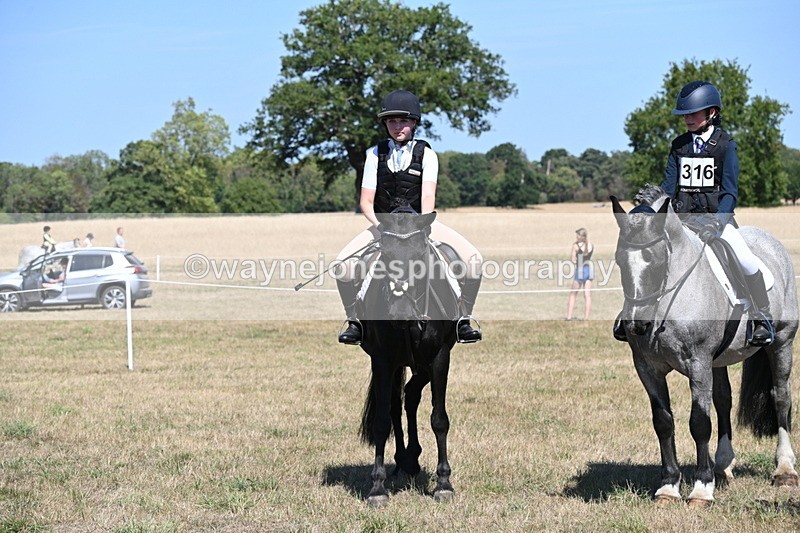 WJ6_8408 - Class 37a Best Loan Pony Ridden