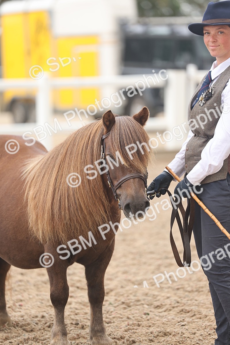 SBM_03255 - Class 16 - IH M&M Wildcard