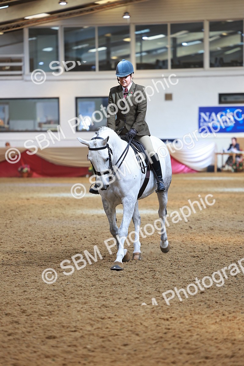 SBM_10609 - Class 103 - HOYS Veteran Qualifier - Ridden Pre Vet