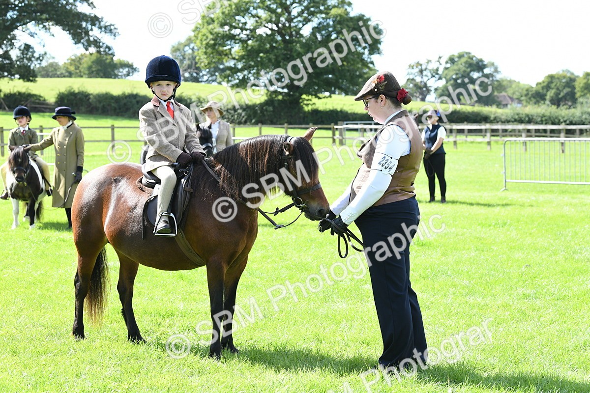 SBM_42633 - S20 - Lead Rein Mountain & Moorland Pony