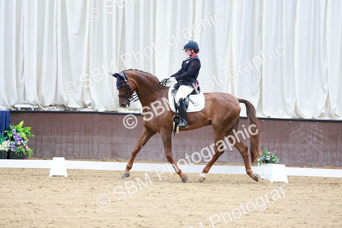 SBM_017927 - Class 15 - FEI Junior