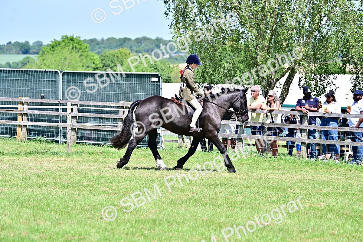 SBM_17383 - Class 95-97 - BSPS LHS Performance Ponies