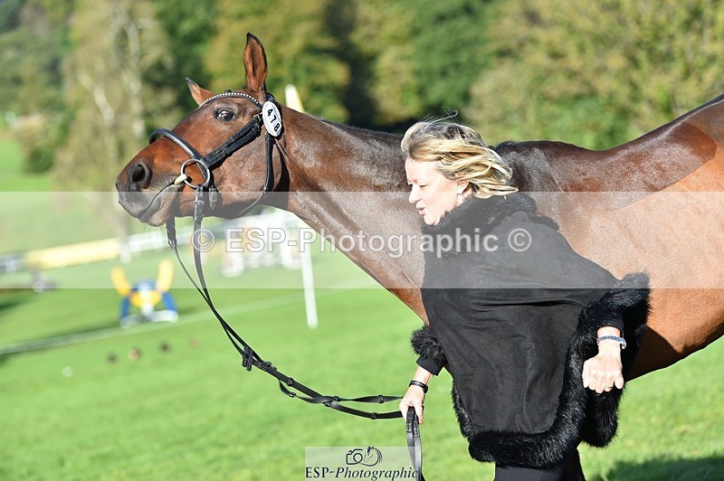 231022-102402-22455 - 478-SOARING.HEIGHTS-Samantha.Shaw-TrotUp+SJ