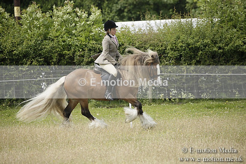 B230619-0433 - Bourne Valley Riding Club Summer Show 23/06/19