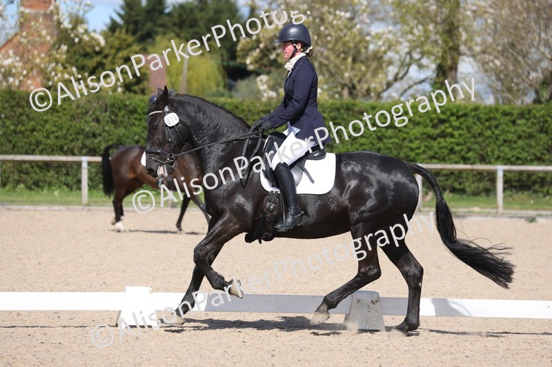 20260405-0535 - Class 6 - Elementary 6