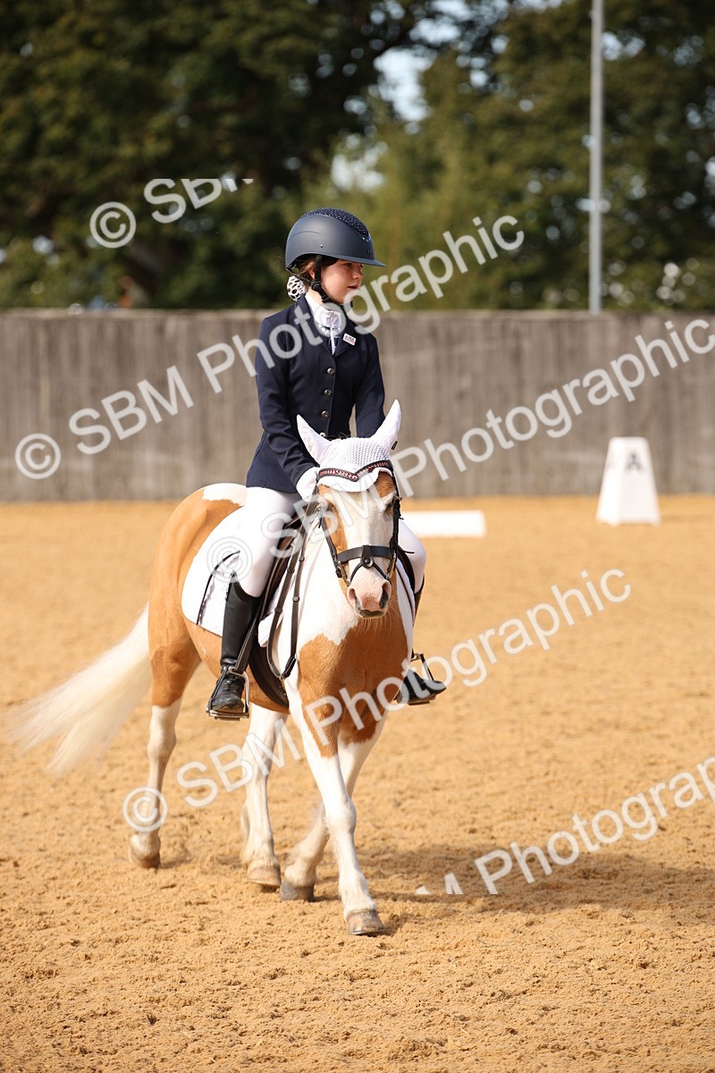 SBM_21806 - D5 - Small Tour Championship - Intro C