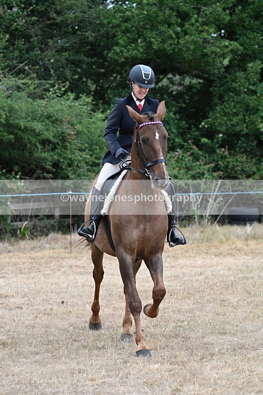 WJ7_0842 - Class 7 Riding Club Show Horse