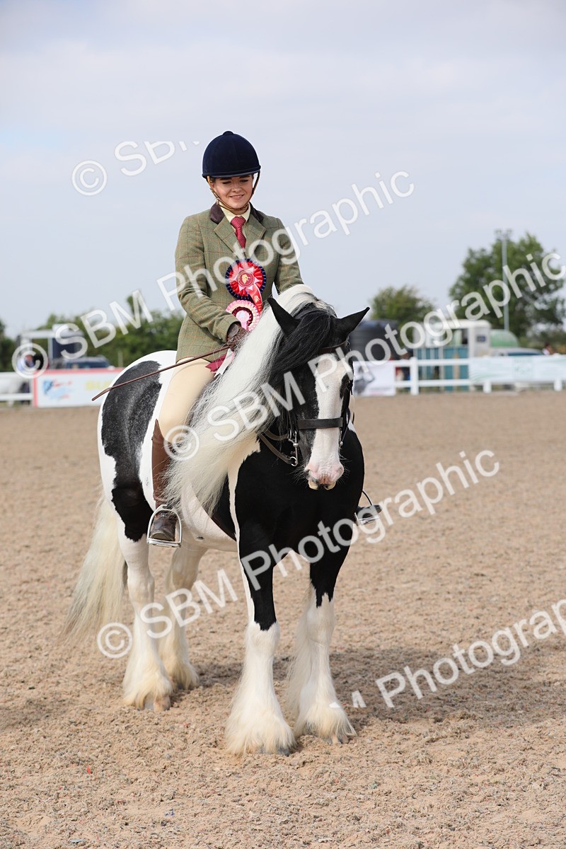 SBM_12866 - Class 307 Ridden Coloured Pony