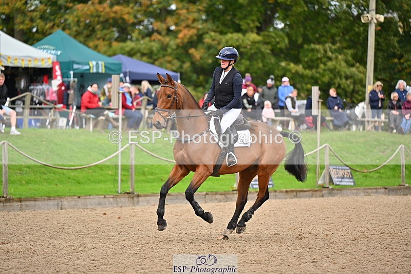 251026A-120241-24216 - E-386-Zara.Head