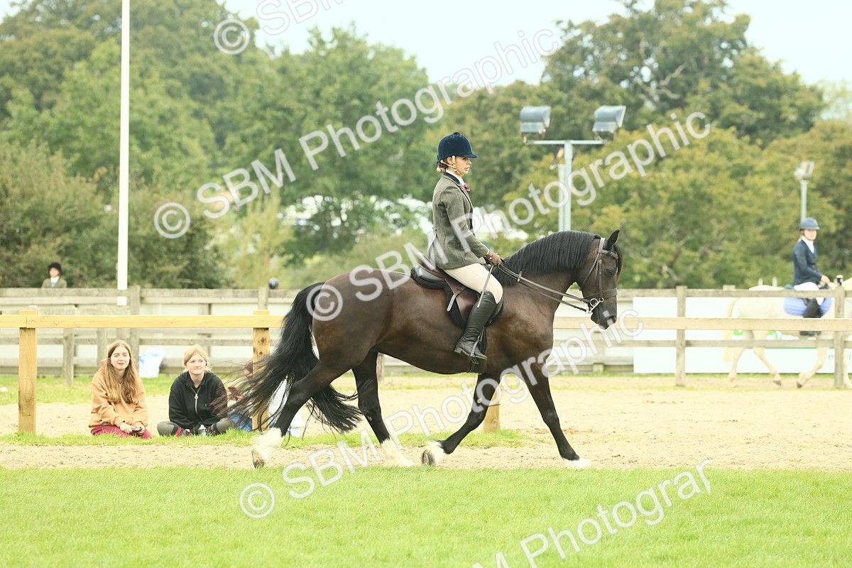 SBM_72151 - S60 - Mountain & Moorland Ridden Large Breeds