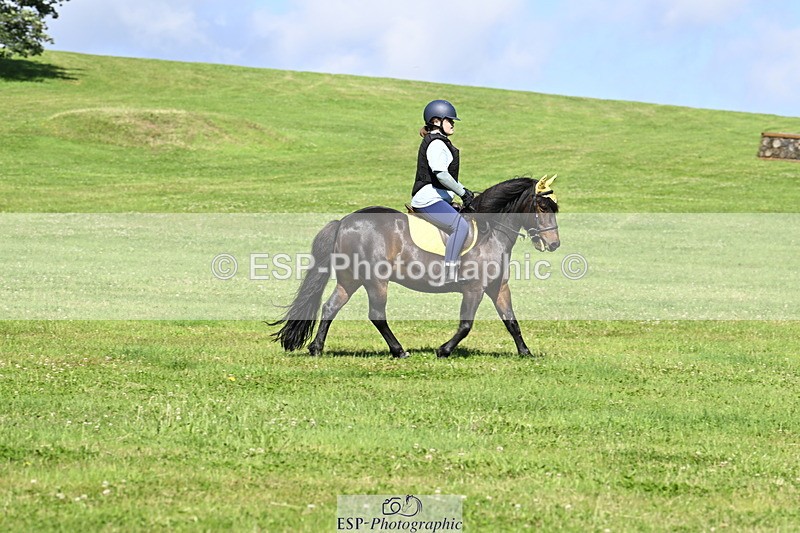 240728B-101905-00633 - Theo's Group XC