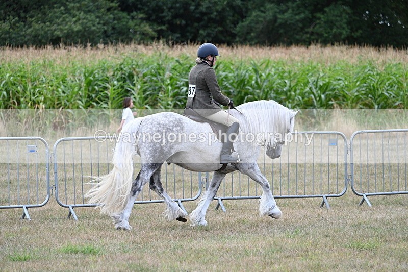 WJ7_4818 - Class 12 Ridden Cob