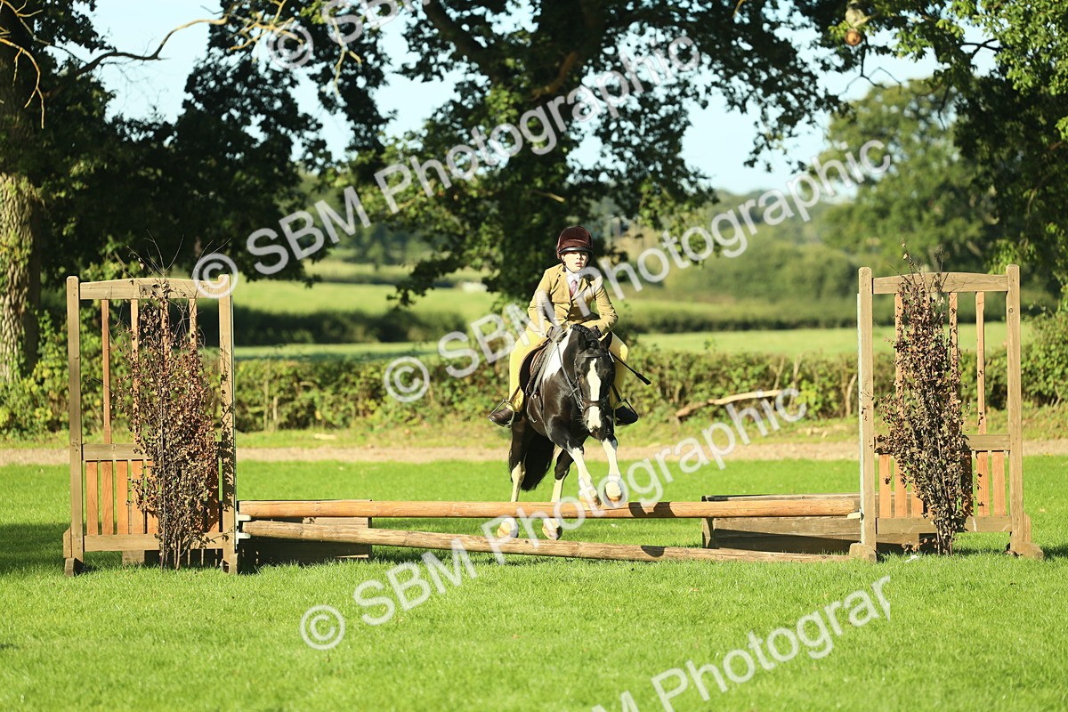 SBM_36402 - S29 - Novice & Newcomers Working Hunter Pony
