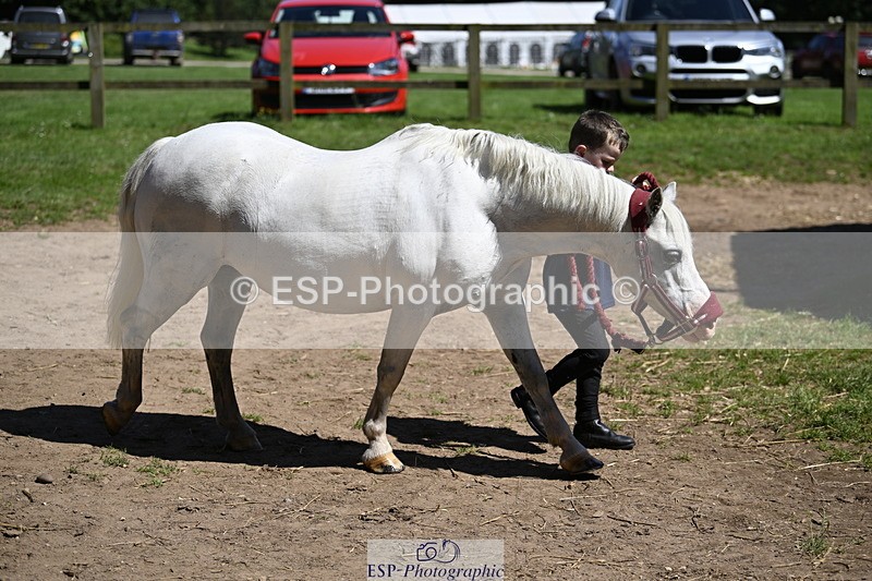 240728B-113649-00311 - Sunday Stable Shots and Fancy Dress