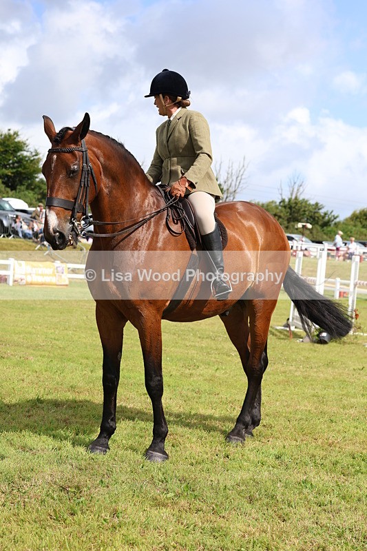 3E7A9383 - Class 4: Rising Star M/H Hunter