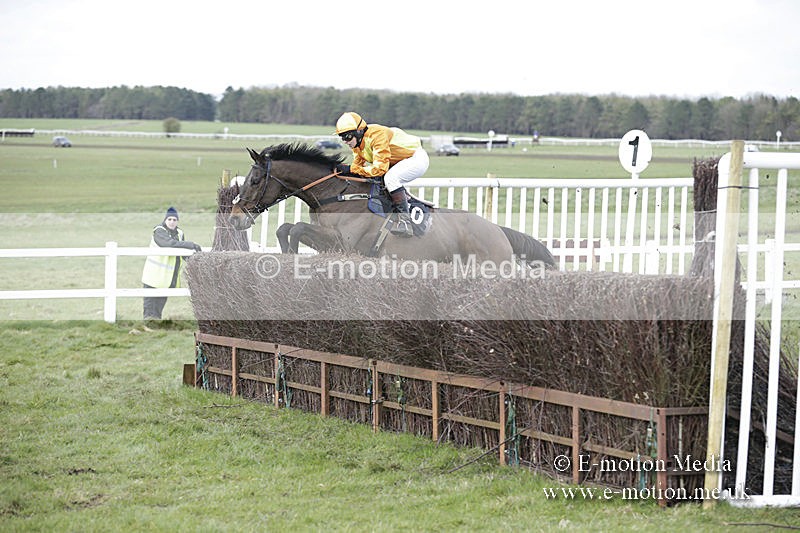 PtP 150320 0720 - New Forest Point-to-Point Larkhill 15/03/20