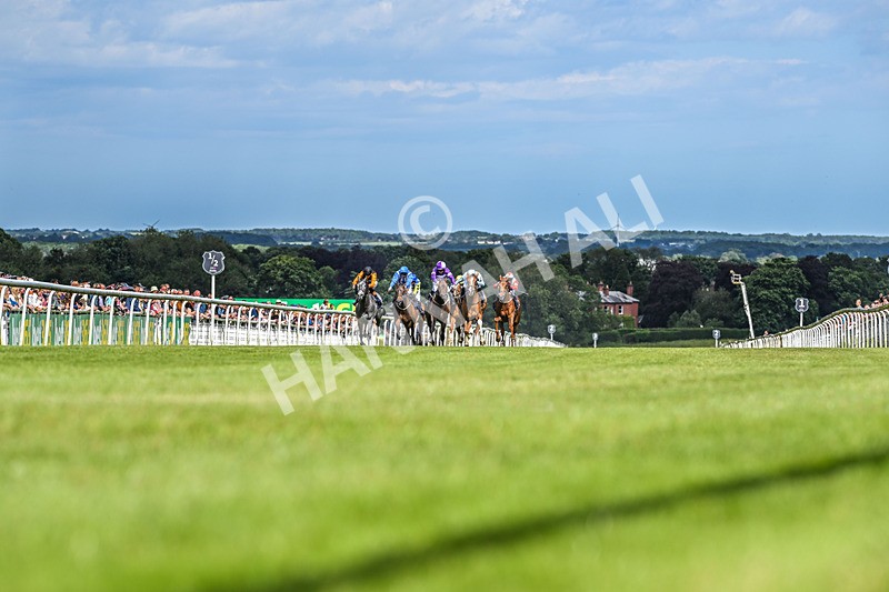 080624-Race 5-Ludos Landing-7409 - Race 5