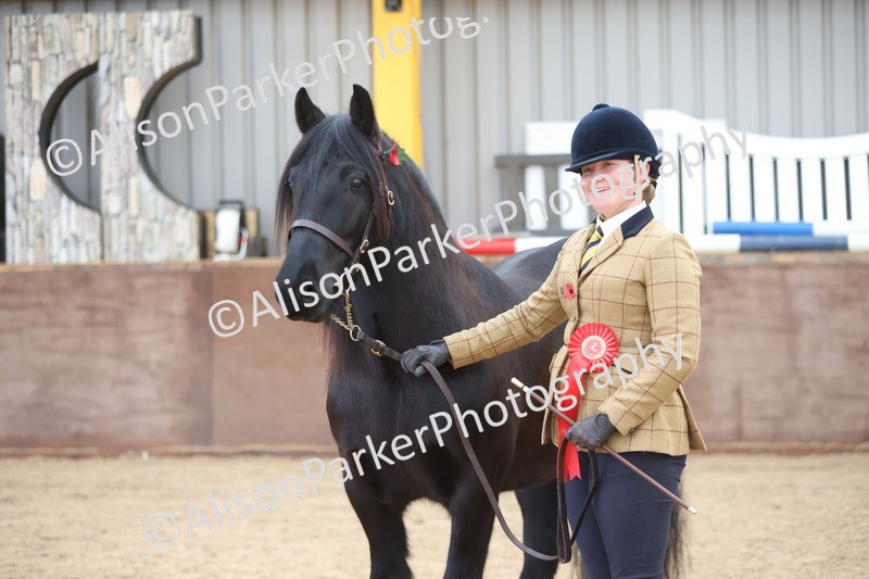 20251109-1096 - Class 29 - Geldings 4 Years and over