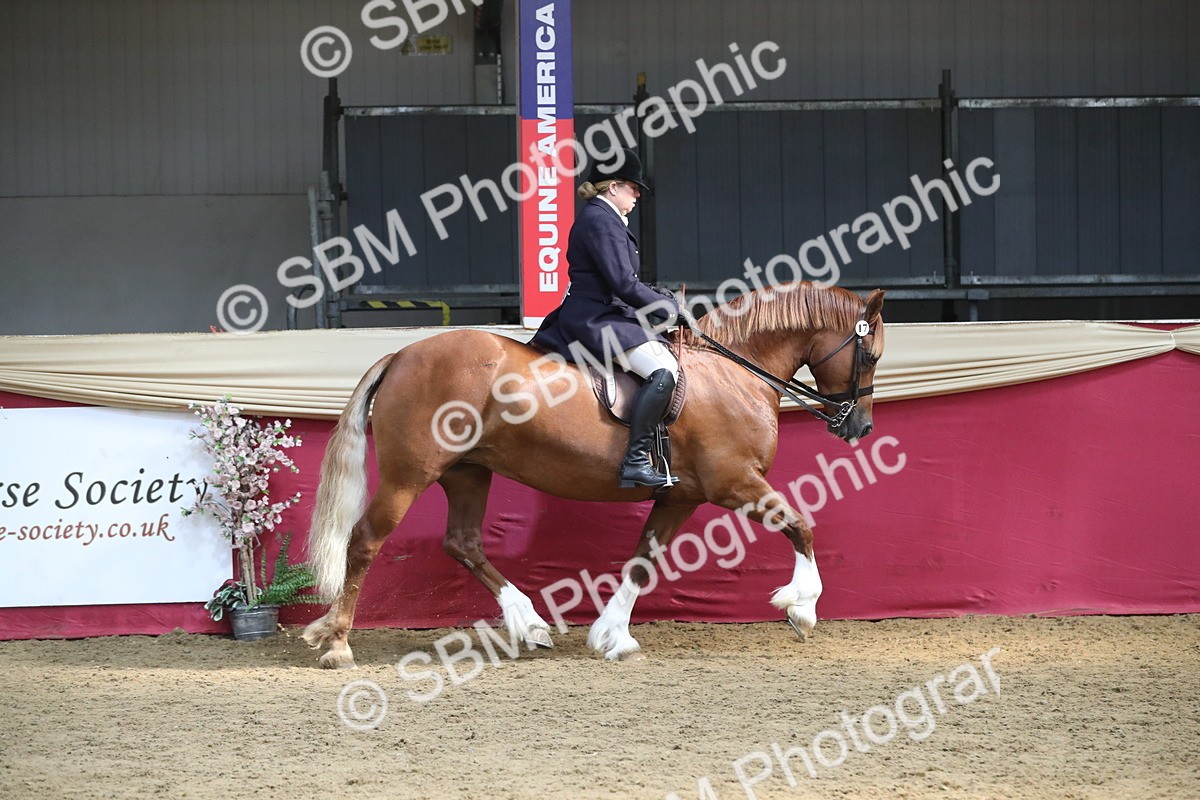 SBM_16278 - Class 502 M&M Ridden Supreme Final