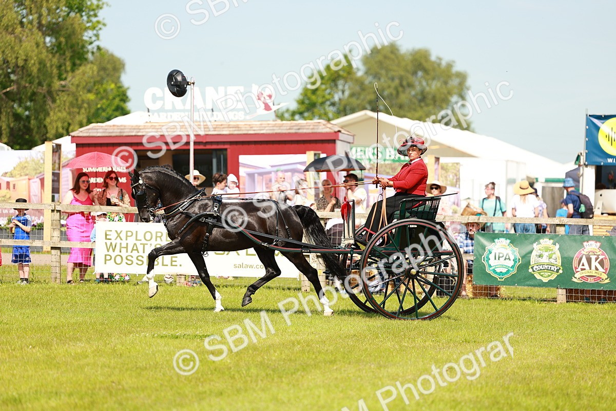 SBM_02868 - Class 2-4 - HOYS Private Driving