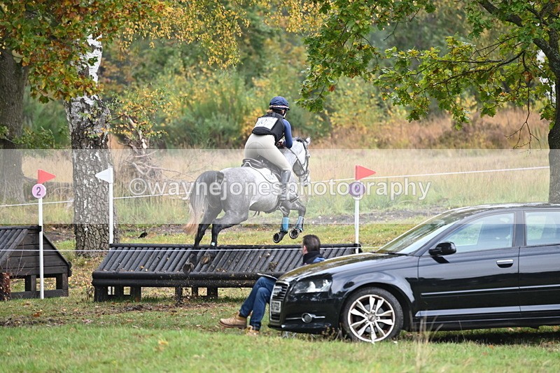 WJ6_1715 - 80cm Cam 1 Time 10:08 to 10:45