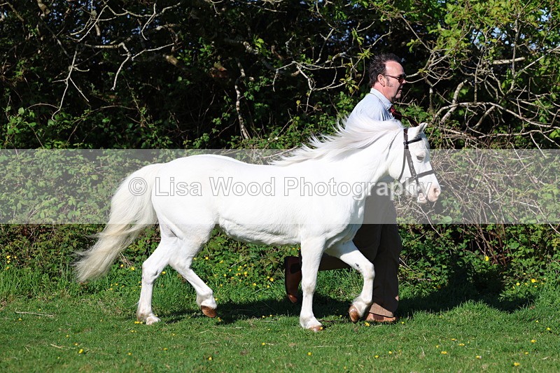 3E7A8359 - Class 12: M & M Small Breeds