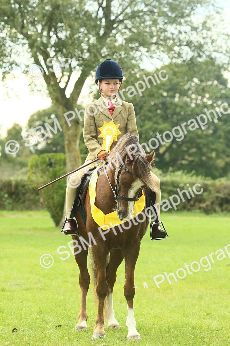SBM_75053 - Ridden Pony Supreme Championship