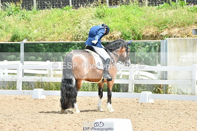 230702A-124935-09381 - Cls 29 Elementary 57