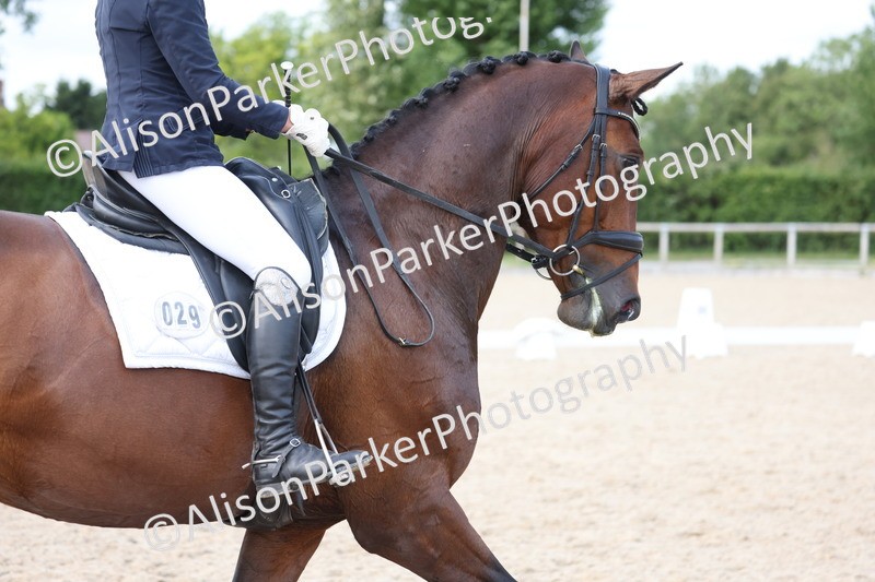 20250604-1268 - Class 9 - Advanced Medium 3