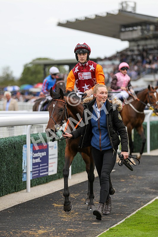 250824-Race 5-Lincoln Rockstar-9453 - Race 5