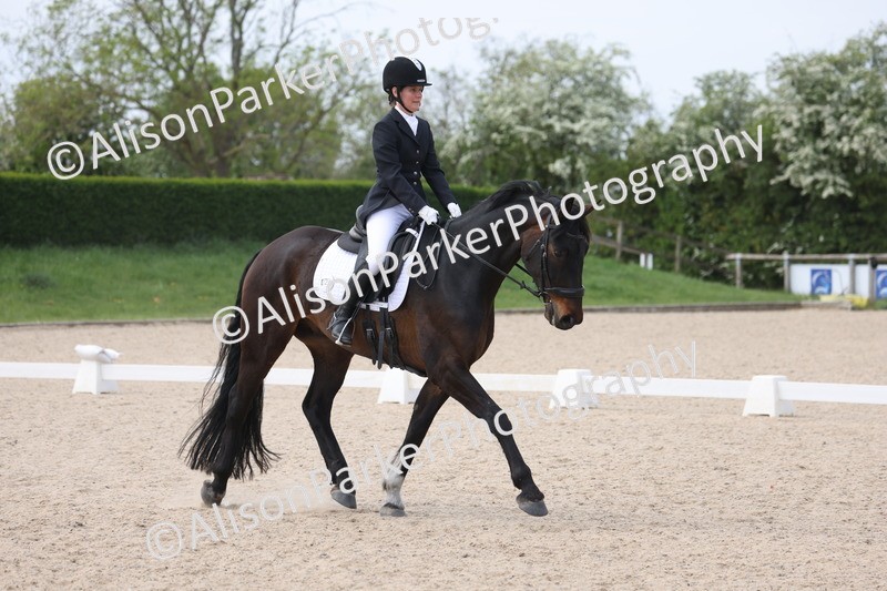 20260502-0852 - Class 7 - Novice 2
