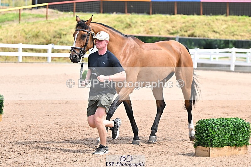 240718A-105303-01506 - Trot Up 12pm to 1pm