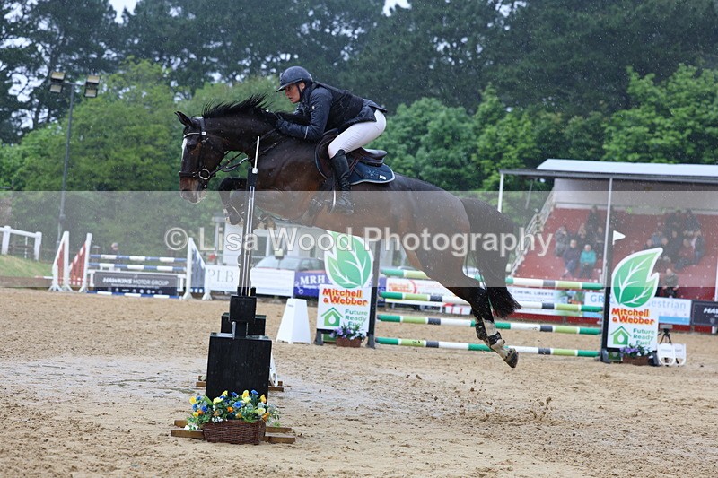 3E7A7451 - Class 8: Senior Foxhunter/1.20 open