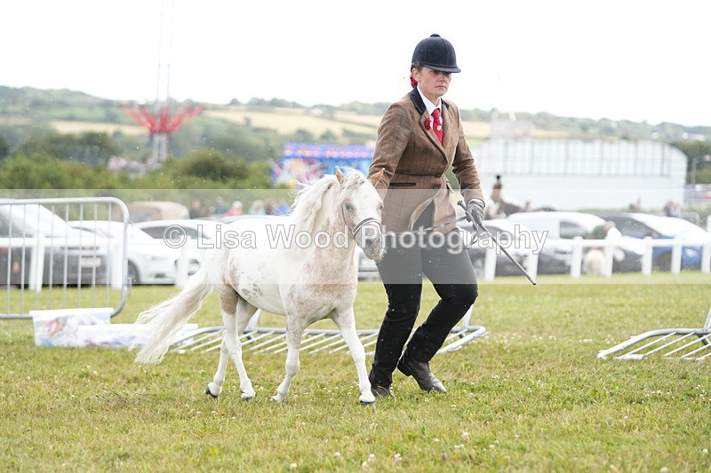 DSC06888 - Class 60: Coloured Pony 4yrs & over