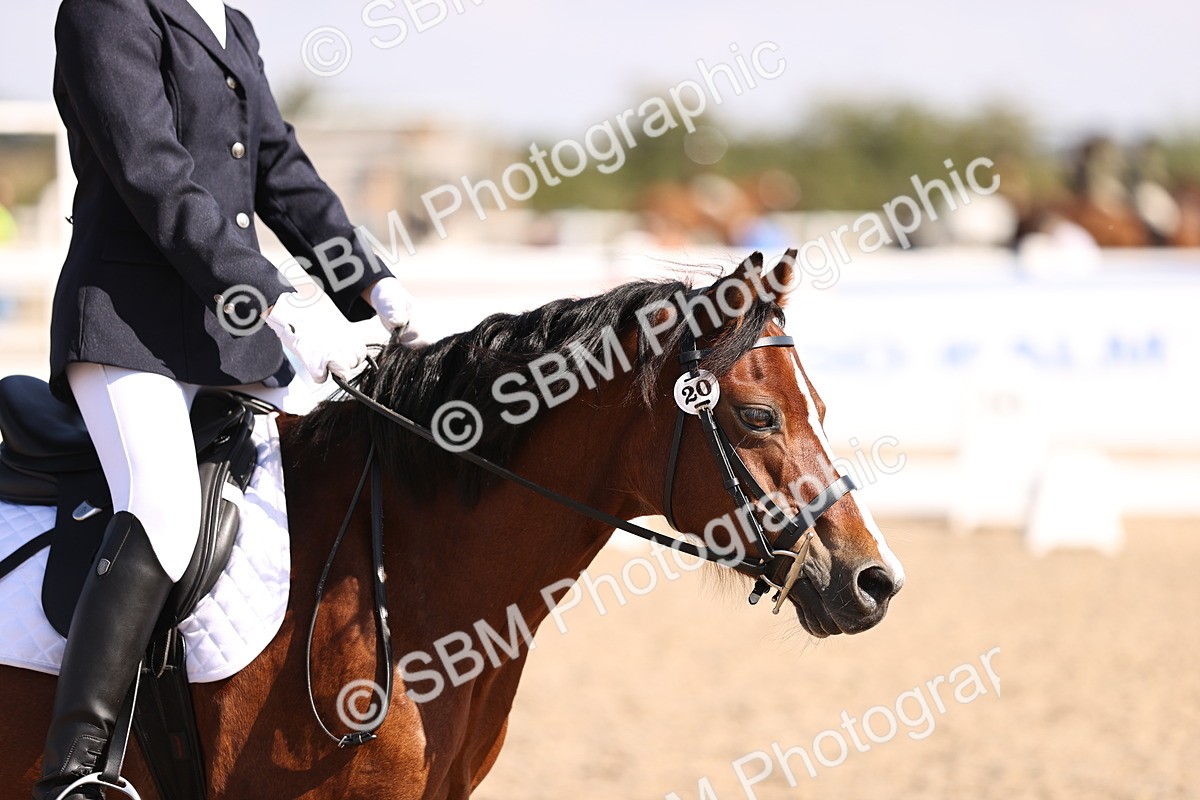 SBM_03516 - CLass 35 Intro 3