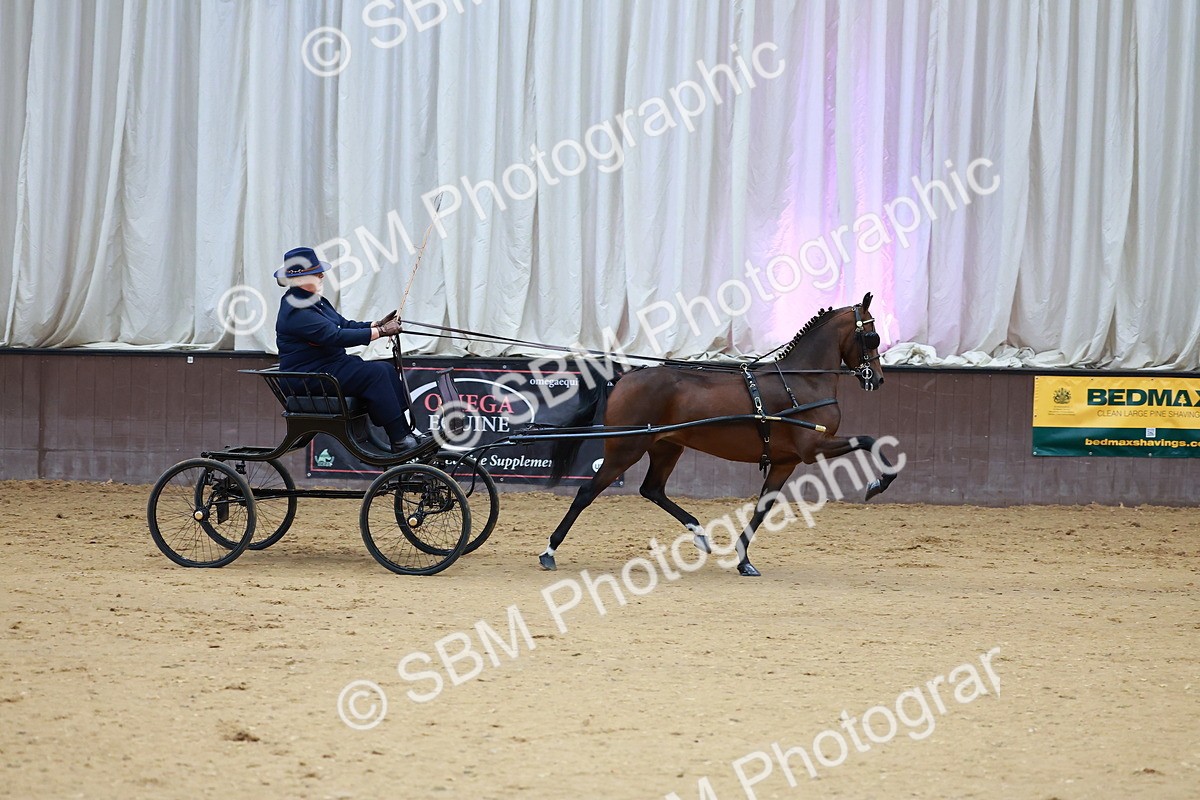 SBM_000663 - Class 9 - HHS Championship Intl Hackney Pony to a Showwagon