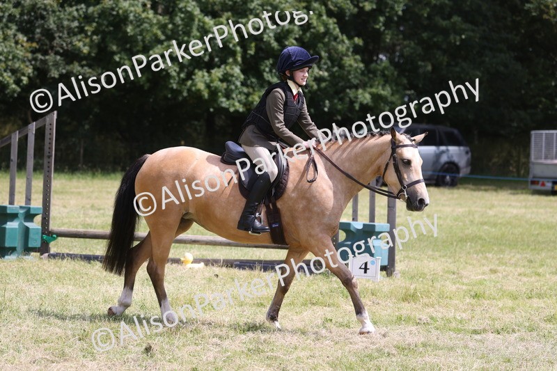 20260614-1789 - Class 21 - Novice Working Hunter Pony