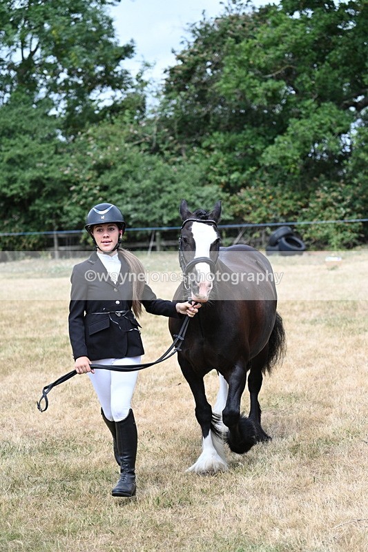 WJ7_1672 - Class 4 Prettiest Mare up to 14.2hh in hand