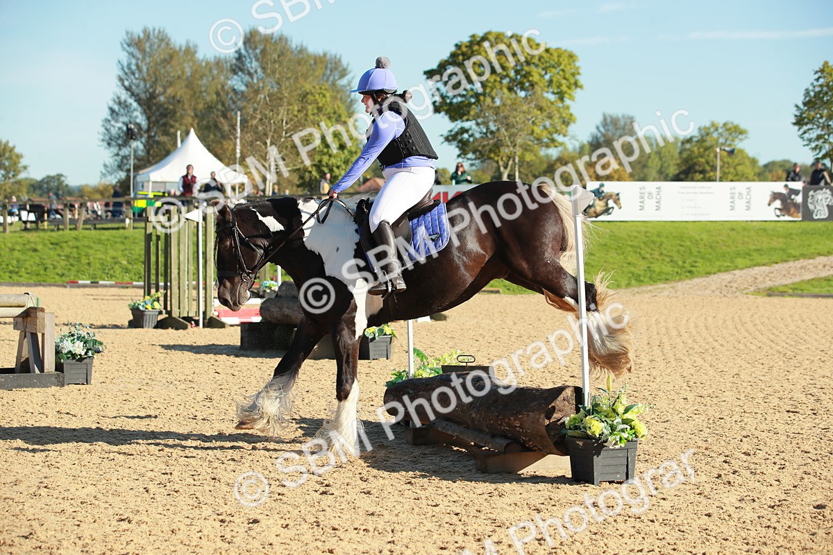 SBM_15217 - Class E5 - Eventers Challenge 50cm Open