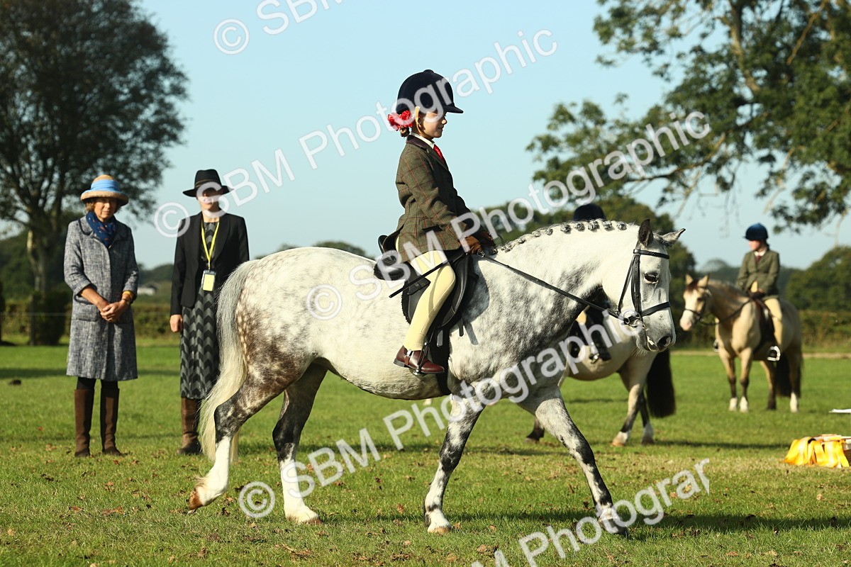 SBM_59212 - S38 - Starters Ridden Showing