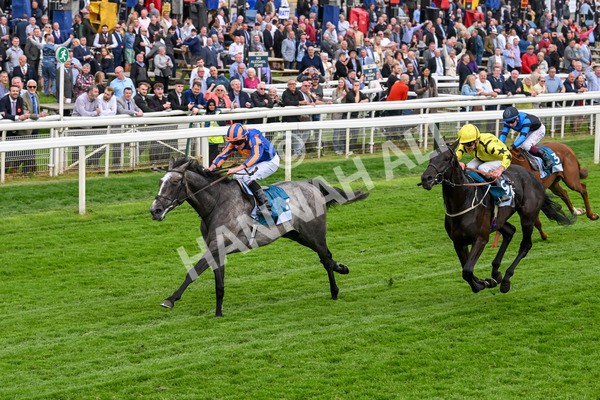 160524-Race 7-London City-6863 - Race 7 5.20pm Collective Green Energy Handicap