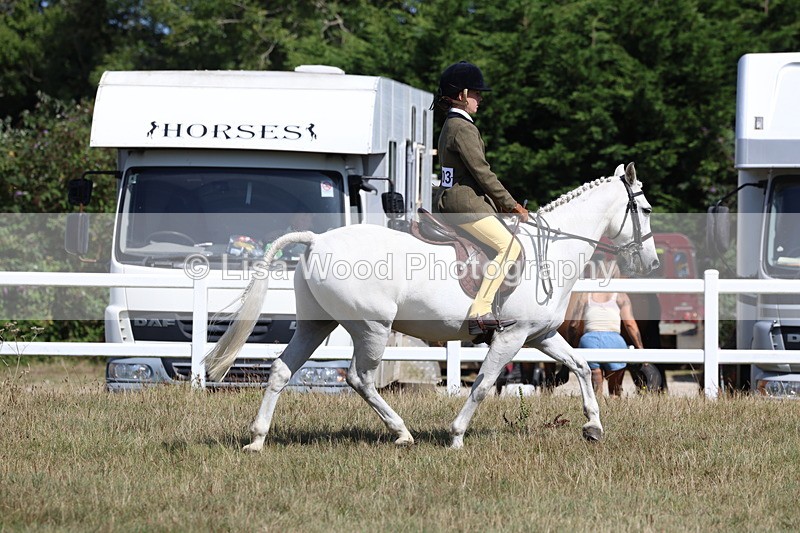 3E7A6344 - Working Hunter Championship