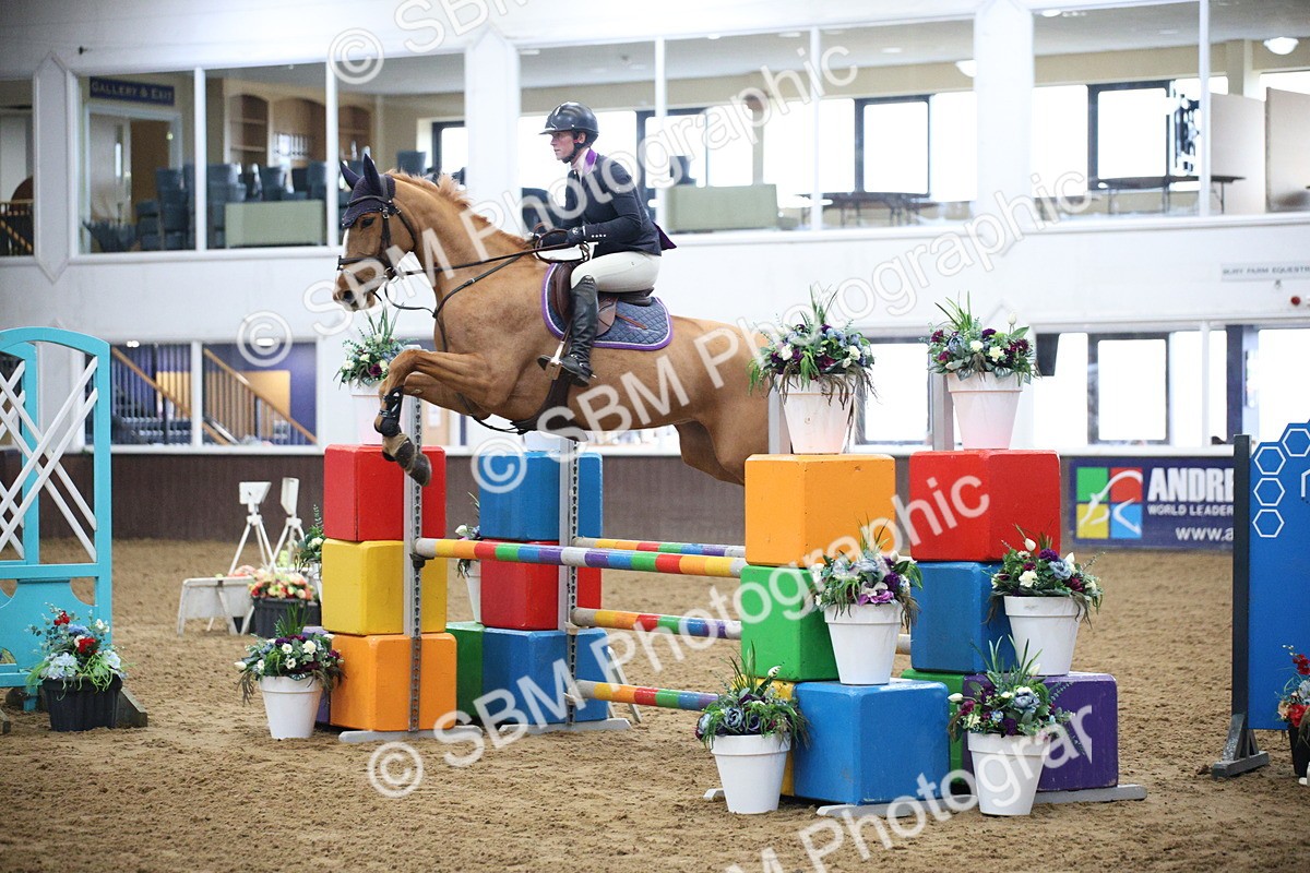 5K7A3708 - Class 2 - Nupafeed Supplements Senior Discovery/ 1m Open