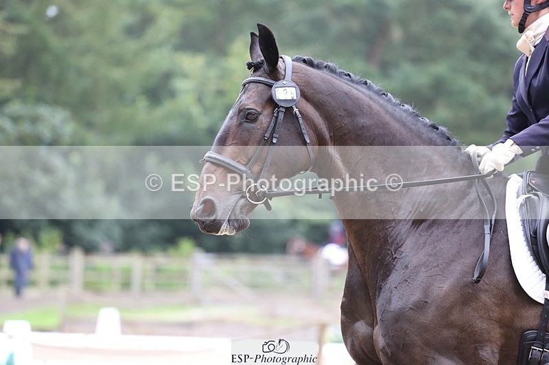 240720-100636-03858 - 235-Georgie_Dudden-Wellpark_Hawk