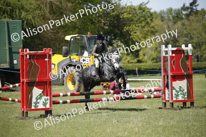 20250427-2316 - Class 13 - Novice Jumping 60cm