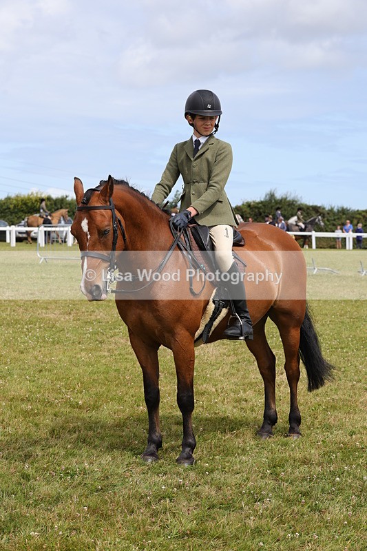 1X9A4045 - Class 32: Show Hunter Pony 153cm and under