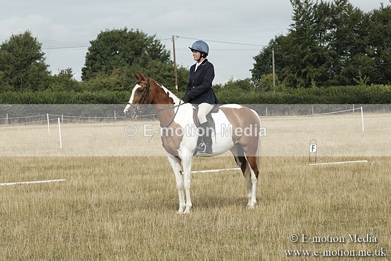 _PJP5589 - Dressage Classes BVRC Show 2018